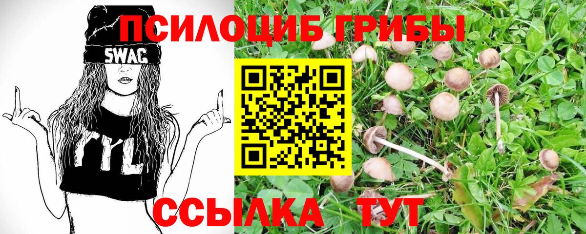 Псилоцибиновые грибы Psilocybine cubensis  Вход с VPN  Артёмовский 